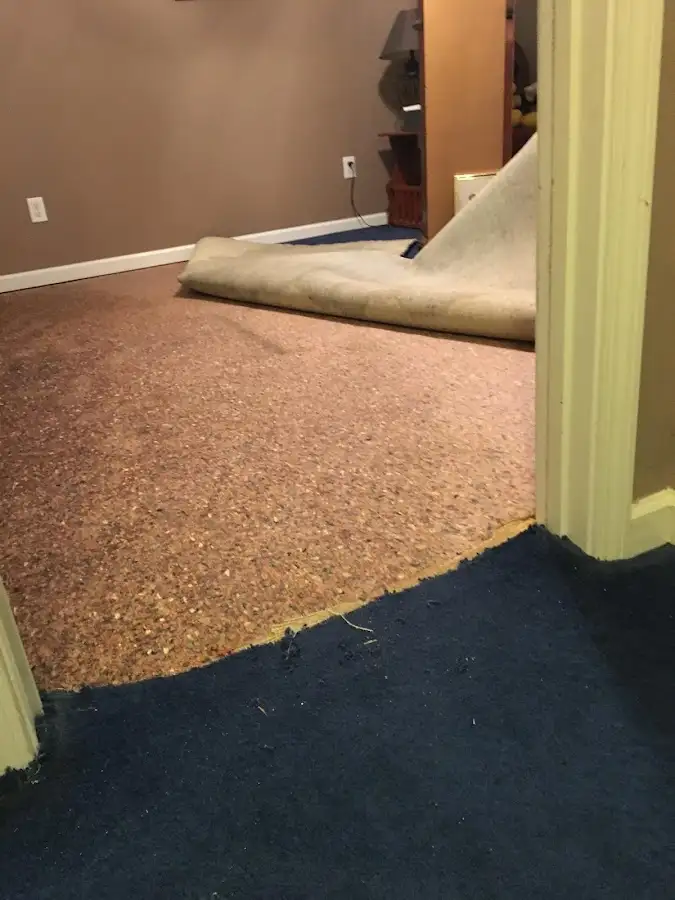 Carpet pad removal revealing water damage during Drying & Dehumidification in Lake Morton-Berrydale