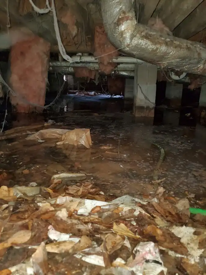 Crawl space flood assessment for Commercial Water Damage Restoration in Lake Morton-Berrydale