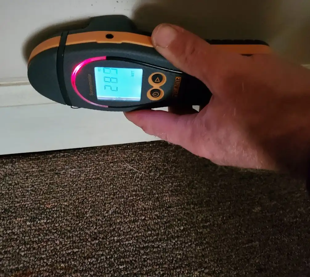 Moisture detection at baseboard during Mold Inspection & Testing in Lake Morton-Berrydale