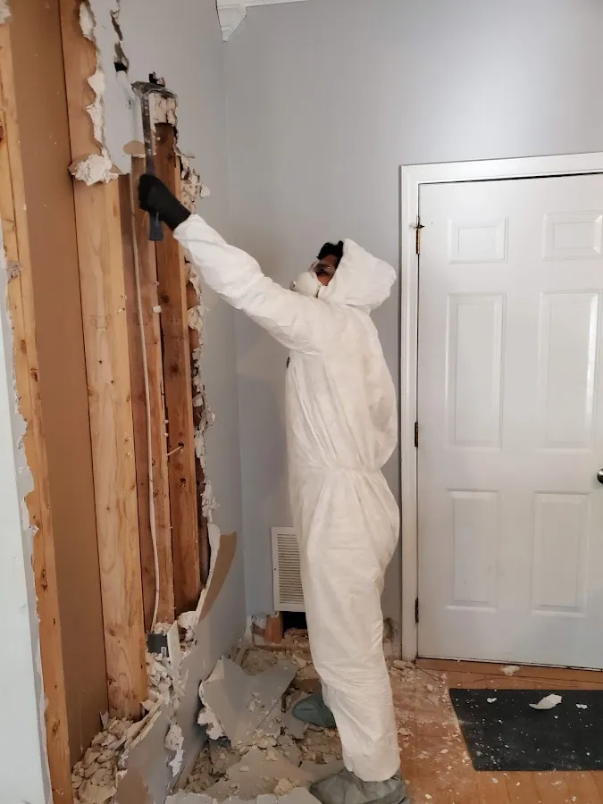 Water Damage Restoration services in Lake Morton-Berrydale, WA